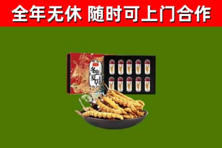 雁山区回收冬虫夏草价格
