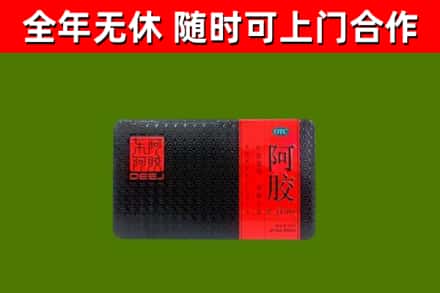 雁山区回收阿胶