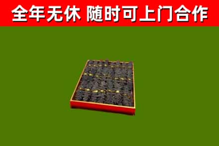雁山区回收海参
